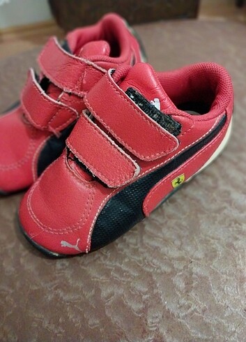 Puma Puma orijinal 