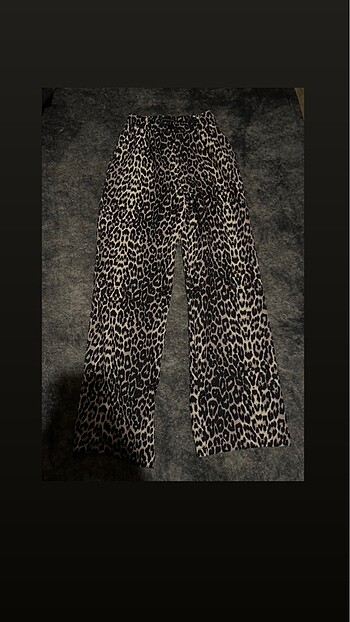 Leopar palazzo