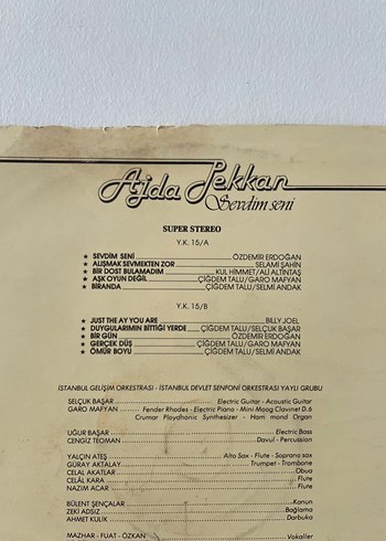 Ajda Pekkan Sevdim Seni Plak
