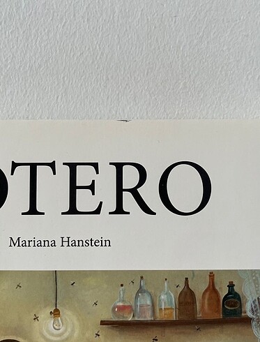 Beden Renk Taschen Fernando Botero Kitap