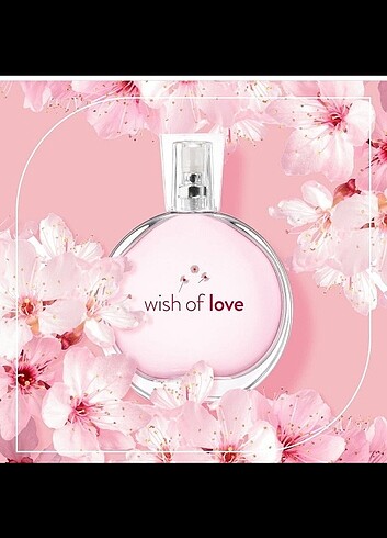 avon wish of