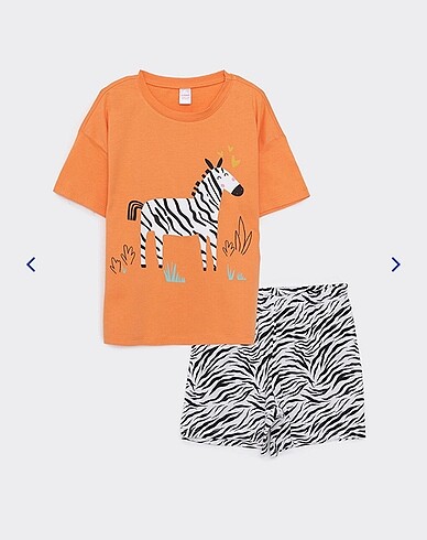 LCW / Zebra Desenli Şort Tişört Takım