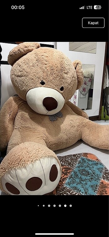 Peluş Ayı