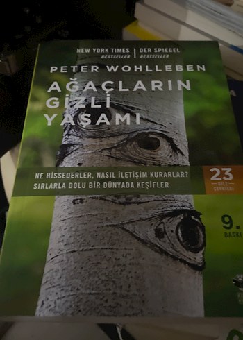 Aklını En Doğru Şekilde Kullan - Dr. Carol S. Dweck - Görsel 12