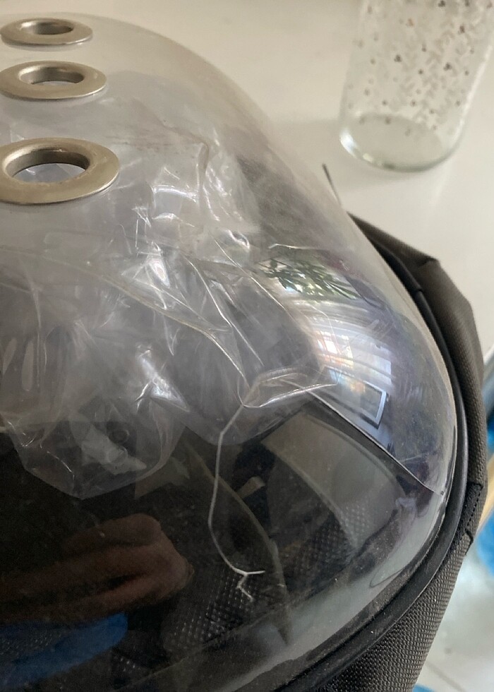 Kedi taşıma çantası - Görsel 5