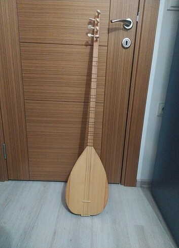 Kavak agacı uzun sap baglama 