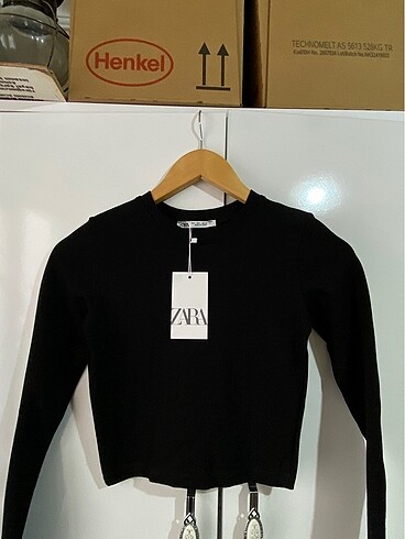 Zara basic Body
