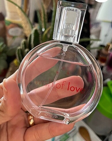 Wish of love