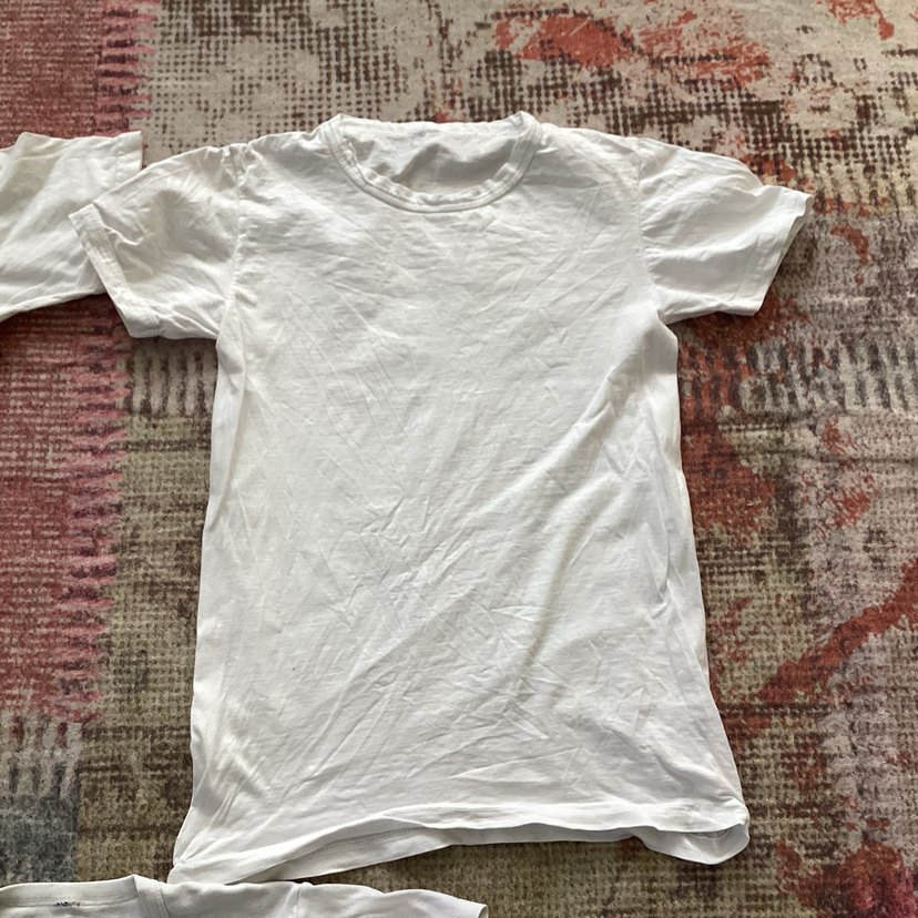 Beyaz Pamuklu Erkek Çocuk Kısa Kollu Tişört - Görsel 4