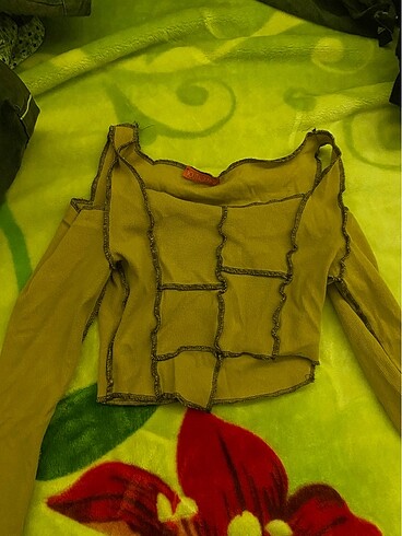 Ten rengi crop