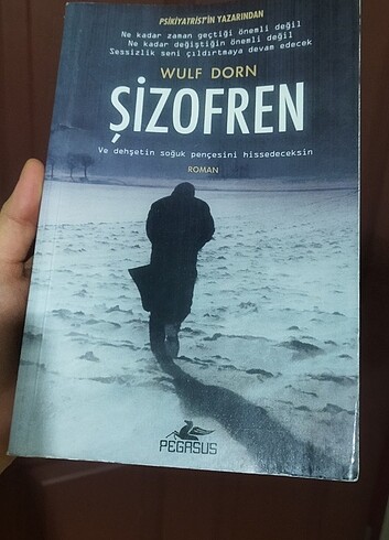 Şizofren- Wulf Dorn 