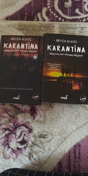  Karantina 4 serili roman