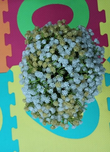 Gelin Çiçeği  - Görsel 2