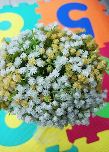 Gelin Çiçeği  - Görsel 6