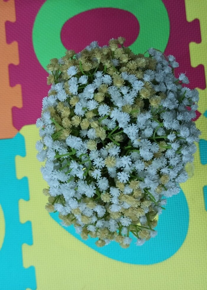 Gelin Çiçeği  - Görsel 2