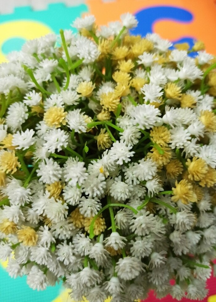 Gelin Çiçeği  - Görsel 5