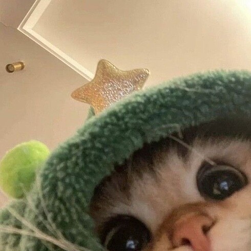 Wonyo ve yujin