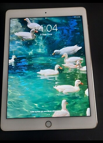 Beden iPad Air 2 128 GB