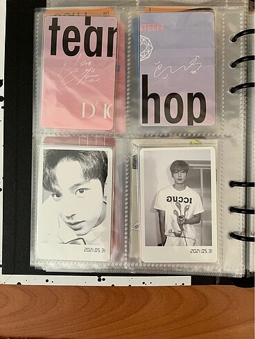 mingyu ve wonwoo dicon seventeen