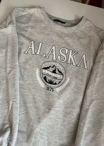 Gri Baskılı Kadın Sweatshirt - Görsel 2