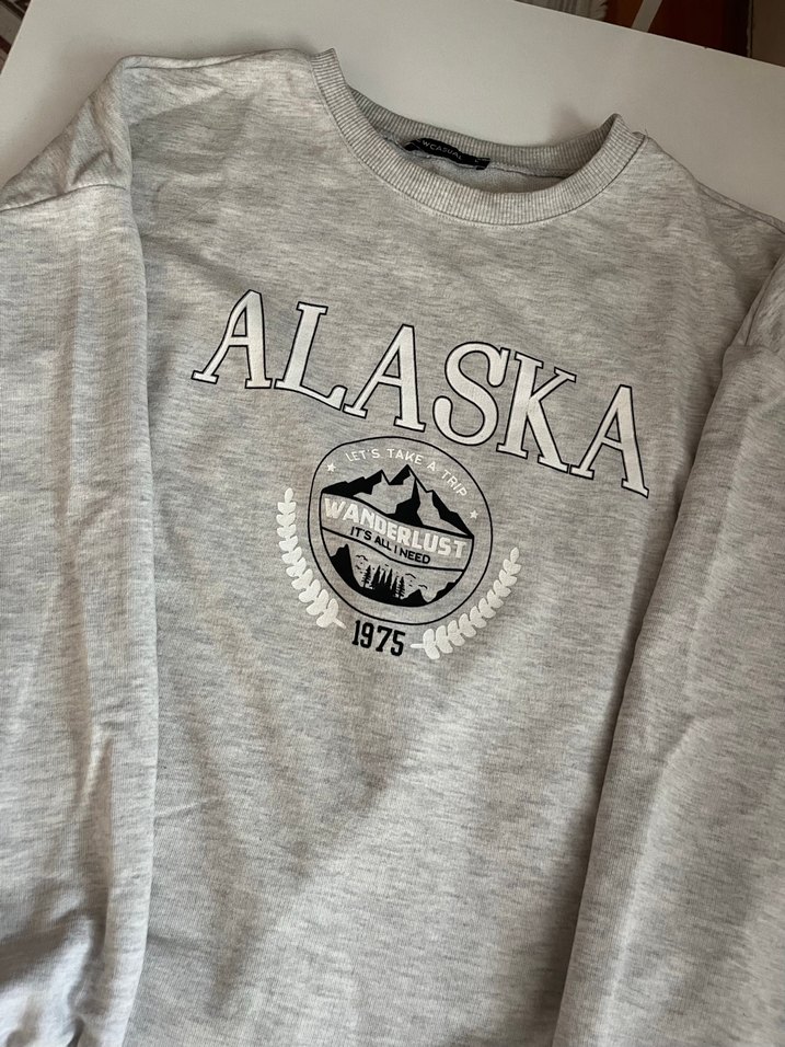 Gri Baskılı Kadın Sweatshirt - Görsel 2