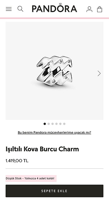 Pandora Işıltılı Kova Burcu Charm