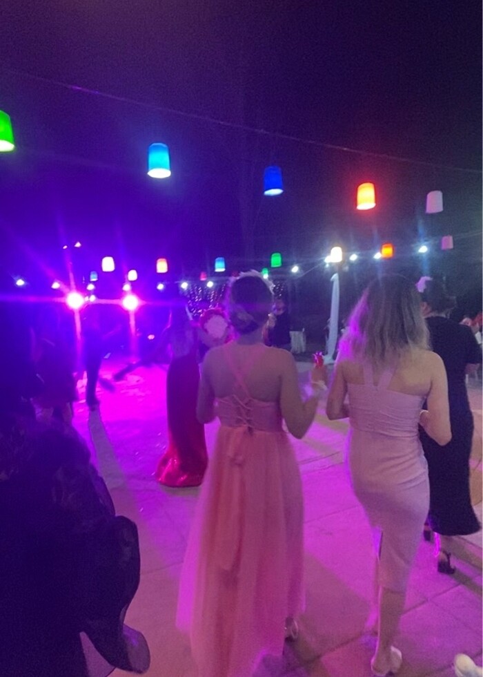 Esra Helvacı Elbise - Görsel 3