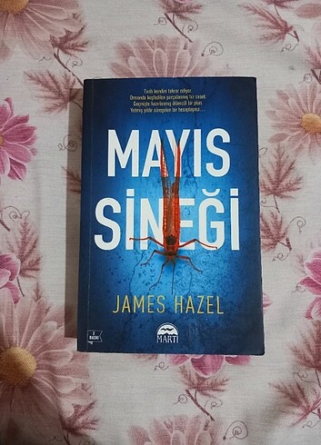 Kitap