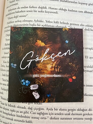 Beden Renk Gökçen serisi 4 kitap