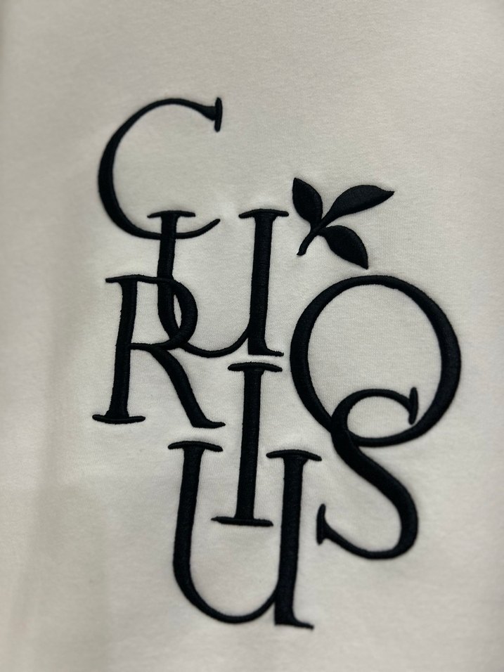 İşlemeli Oversize Kadın Sweatshirt - Görsel 2