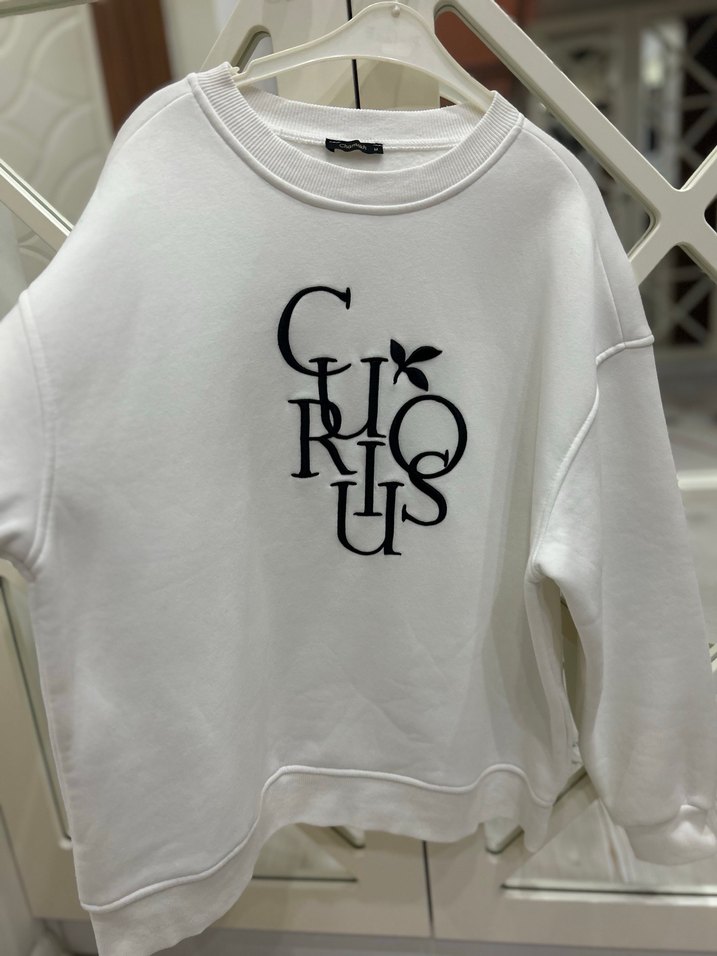 İşlemeli Oversize Kadın Sweatshirt - Görsel 4