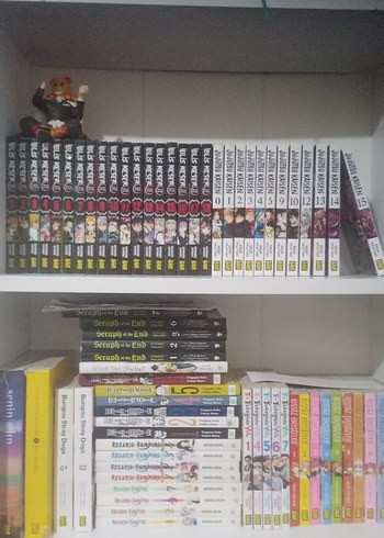 Manga ve Çizgi Roman Koleksiyonu