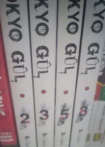 Tokyo Gül Manga Serisi 4 Cilt