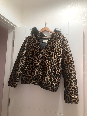 Leopar kaban