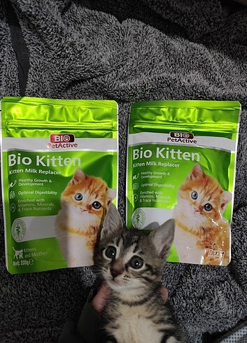 Bio Petactive Kitten Milk Powerder