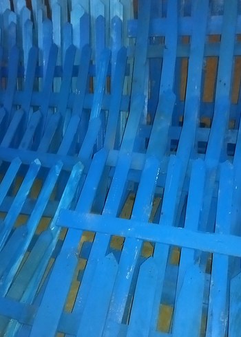 Parlak Mavi HİBİ BAHÇE  ÇİTLERİ - Görsel 4