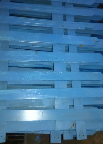 Parlak Mavi HİBİ BAHÇE  ÇİTLERİ - Görsel 2