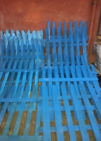 Parlak Mavi HİBİ BAHÇE  ÇİTLERİ - Görsel 6