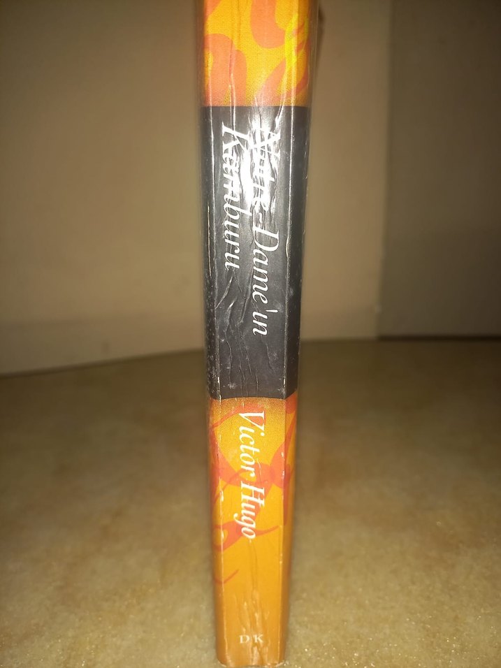 Victor Hugo - Notre-Dame Şiiri - Görsel 2