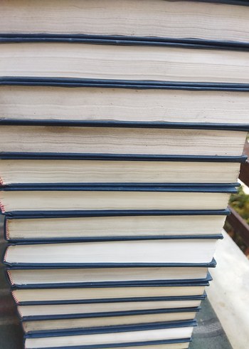 Larousse Sözlük ve Ansiklopedisi - Görsel 2