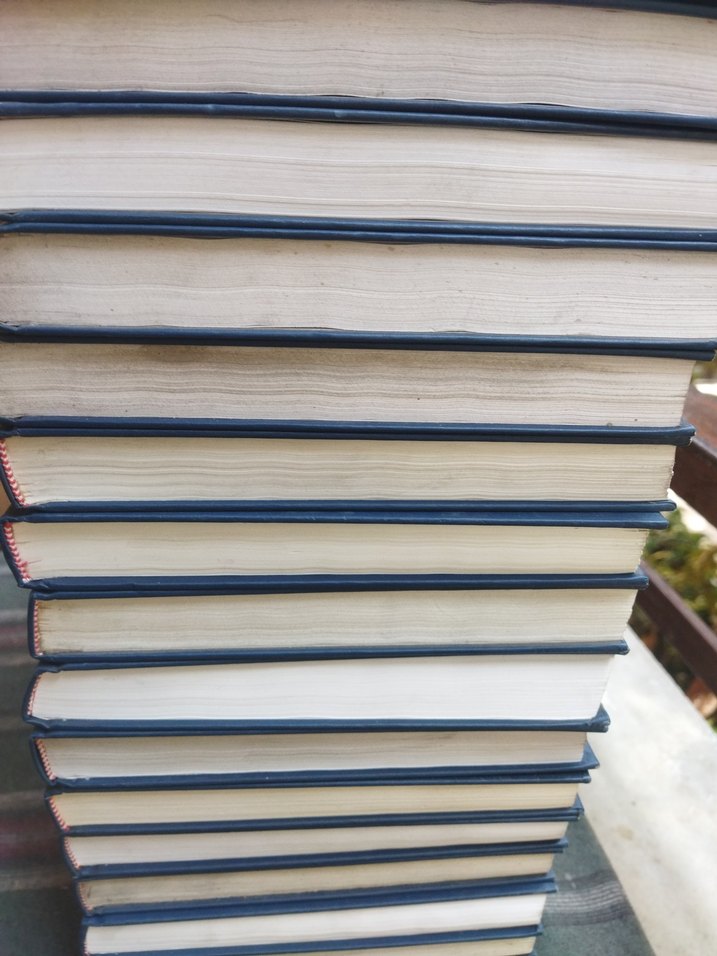 Larousse Sözlük ve Ansiklopedisi - Görsel 2