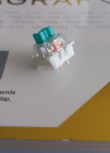 Diğer Outemu dustproof green switch