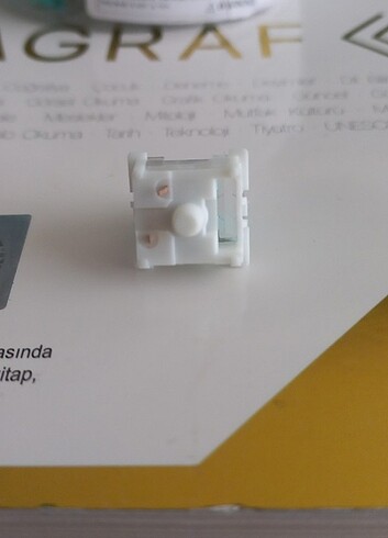 Beden Outemu dustproof green switch