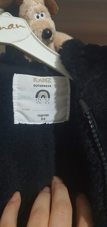 Pelus mont - Görsel 2