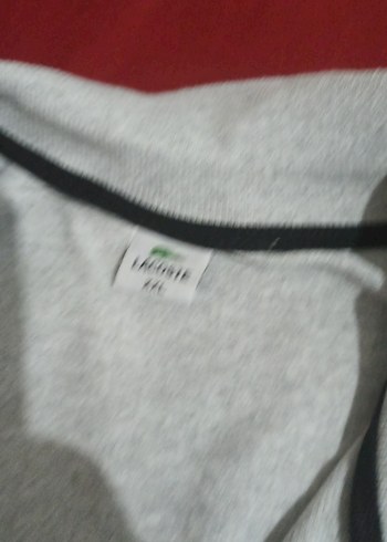 Gri Keten Erkek Polo Tişört - Görsel 3