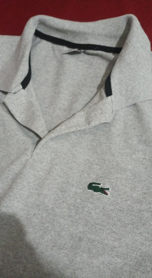 Gri Keten Erkek Polo Tişört - Görsel 2