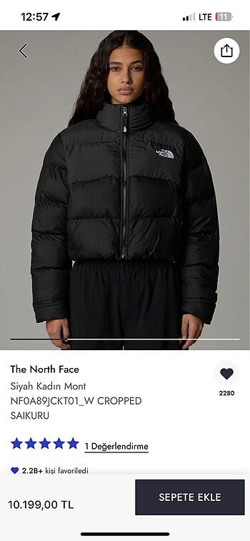 The north face mont