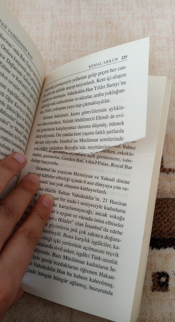 Sultan Vahdettin Han - Çınarlar Ayakta Ölür - Görsel 5