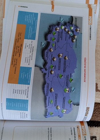 2024 KPSS Coğrafya Ders Notları - Hocam - Görsel 14