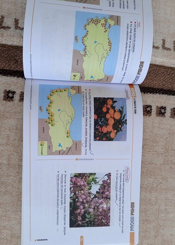 2024 KPSS Coğrafya Ders Notları - Hocam - Görsel 12